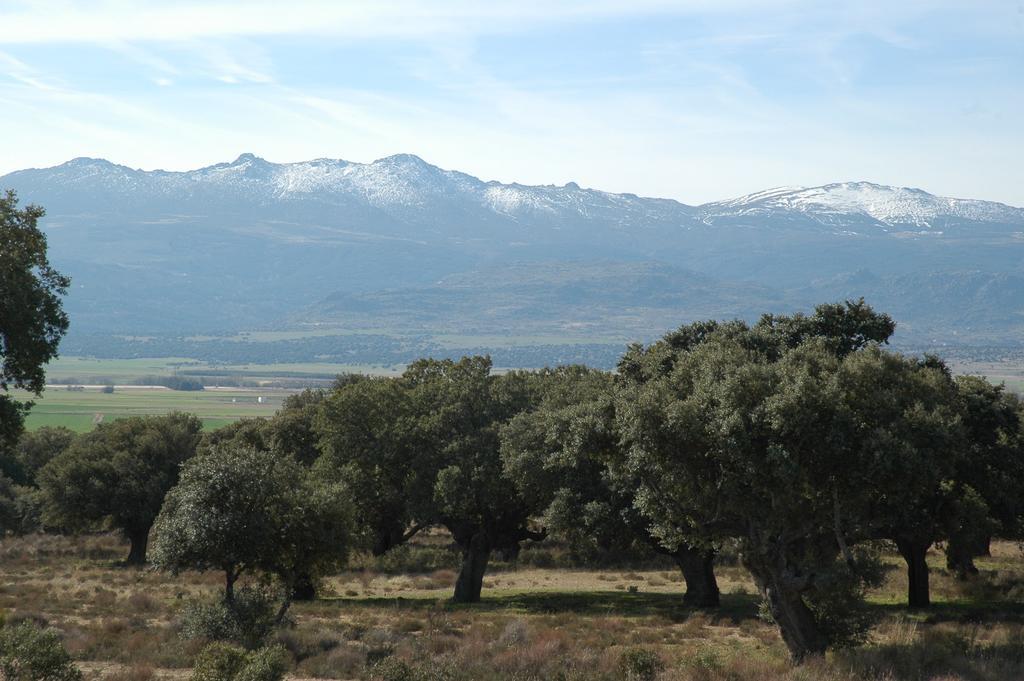 Country house Casa Rural Reposo De Afanes *